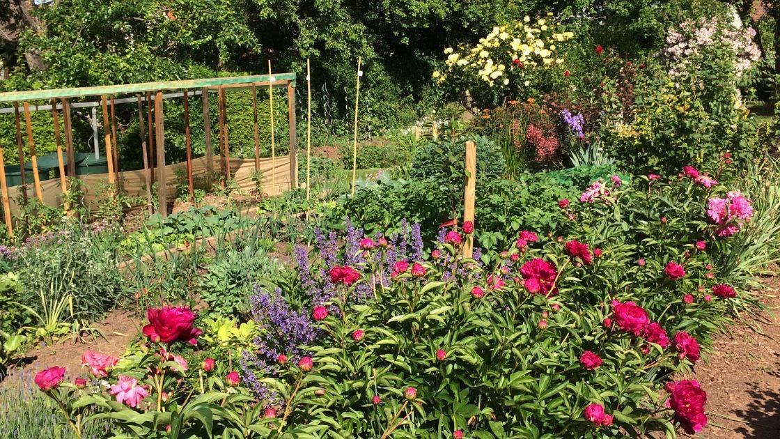 Nachhaltiges Familien Leben - Bio Garten