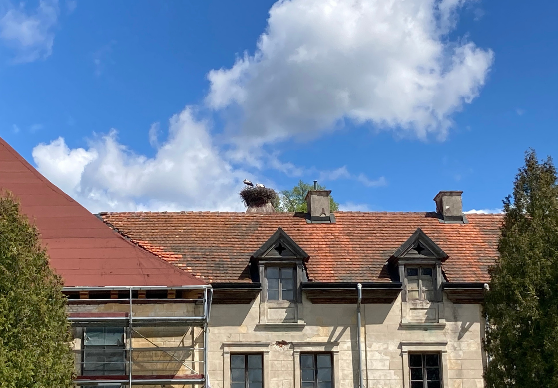 Störche auf dem Dach vom Schloss Steinort